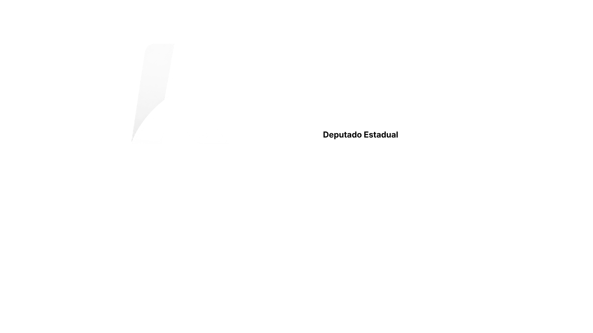 André Kovalski, Deputado Estadual, 25678